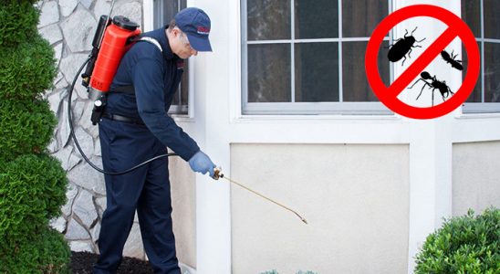 Ayvacık Hamam Böceği İlaçlama böcek ilaçlama ve haşere kontrolü — ilaclama-tr.com